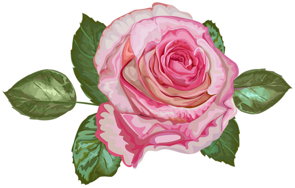 This png image - Pink Art Rose Transparent Image, is available for free download