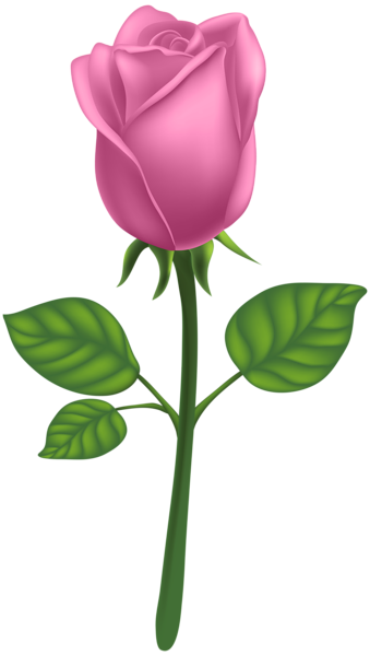 This png image - Pink Deco Rose PNG Clip Art Image, is available for free download