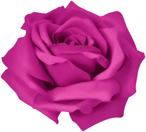 This png image - Pink Dreamy Rose PNG Clipart, is available for free download