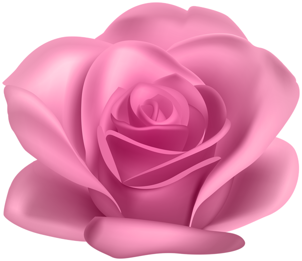 This png image - Pink Flower Rose Transparent Image, is available for free download