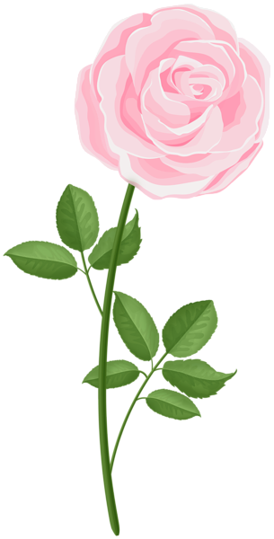 This png image - Pink PNG Rose Clipart, is available for free download