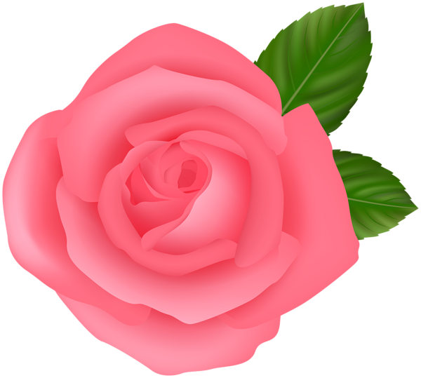 This png image - Pink PNG Rose Clipart, is available for free download