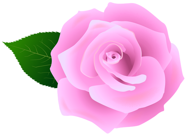 This png image - Pink Rose Artistic PNG Transparent Clipart, is available for free download