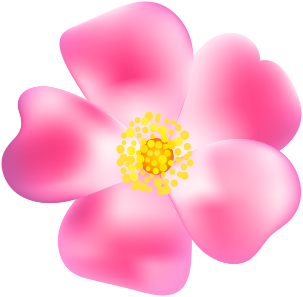 This png image - Pink Rose Blossom PNG Transparent Clip Art Image, is available for free download