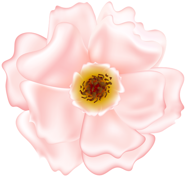 This png image - Pink Rose Bush Flower PNG Transparent Clipart, is available for free download