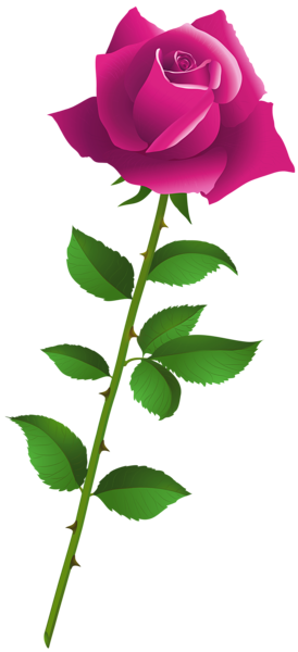 This png image - Pink Rose Cartoon Style PNG Clipart, is available for free download