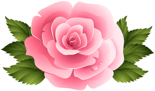 This png image - Pink Rose ClipArt PNG Image, is available for free download