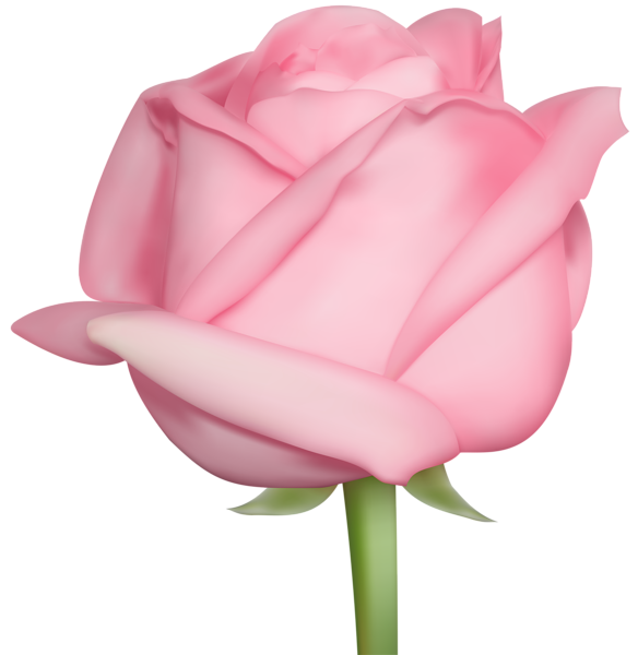 This png image - Pink Rose Clip Art, is available for free download