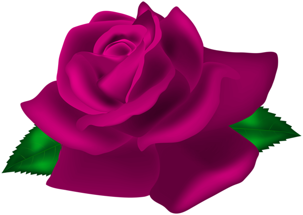 This png image - Pink Rose Deco PNG Clip Art Image, is available for free download