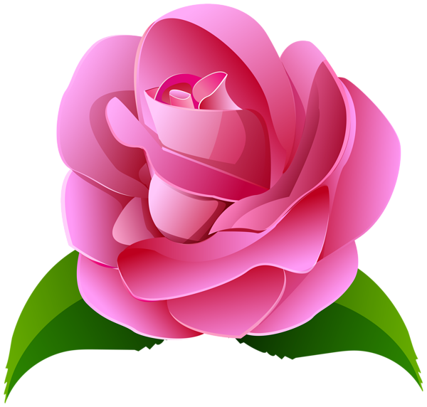 This png image - Pink Rose Deco Transparent Clip Art Image, is available for free download