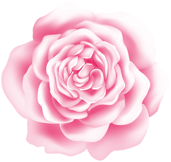 This png image - Pink Rose Deco Transparent Image, is available for free download