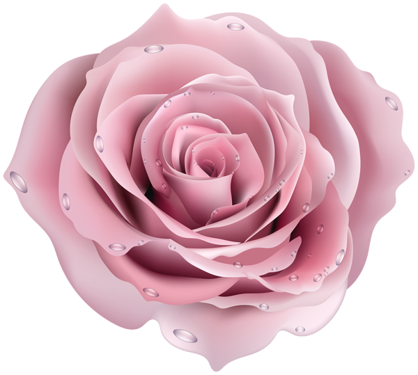 This png image - Pink Rose Deco Transparent Image, is available for free download