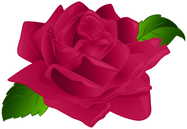 This png image - Pink Rose Decor PNG Transparent Clipart, is available for free download
