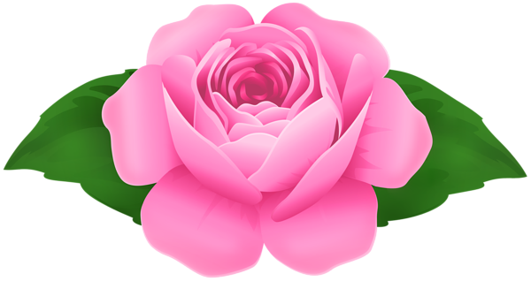 This png image - Pink Rose Decorative Clipart, is available for free download