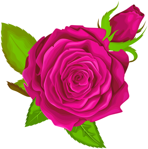 This png image - Pink Rose Decorative PNG Clip Art Image, is available for free download
