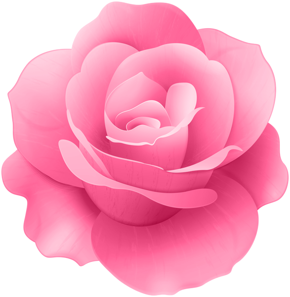 Pink Rose Flower Clip Art Image | Gallery Yopriceville - High-Quality ...