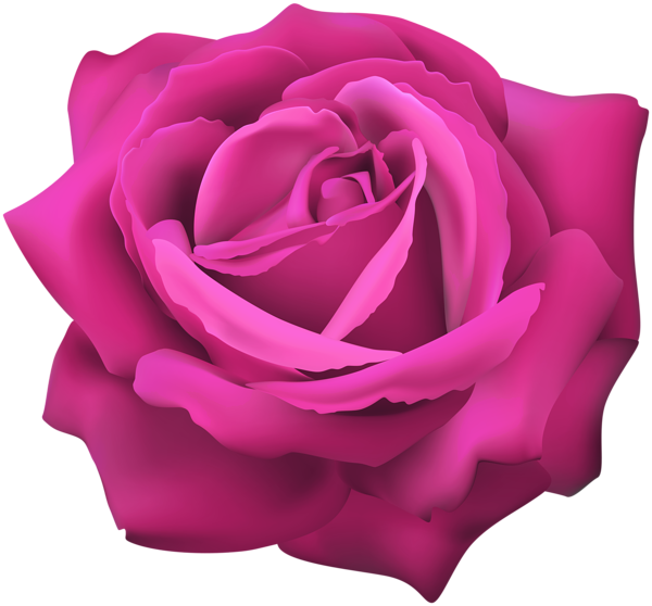 This png image - Pink Rose Flower Clip Art Image, is available for free download