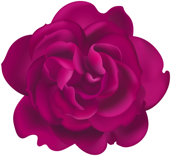 This png image - Pink Rose Flower Clipart, is available for free download