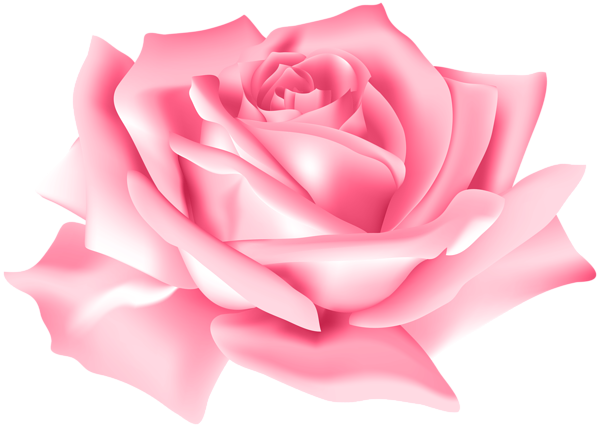 This png image - Pink Rose Flower PNG Clip Art Image, is available for free download