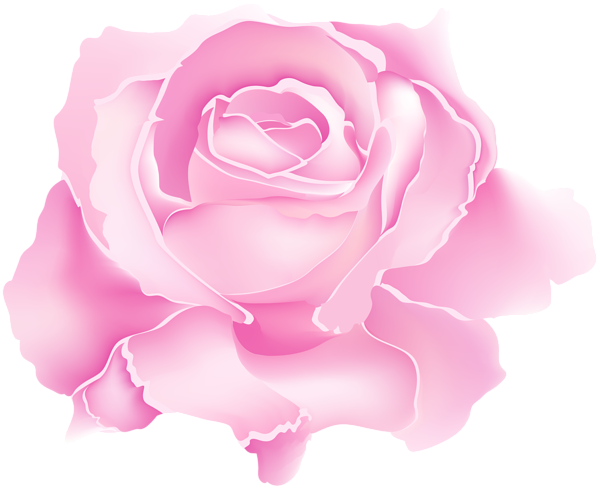 Pink Rose Flower PNG Clipart | Gallery Yopriceville - High-Quality Free ...
