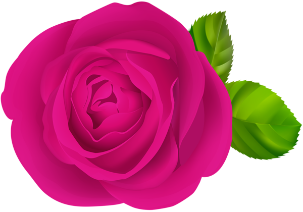 This png image - Pink Rose Flower PNG Clipart, is available for free download