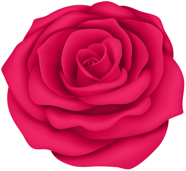 This png image - Pink Rose Flower Transparent Clip Art Image, is available for free download