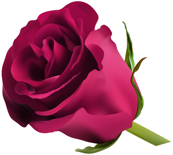 This png image - Pink Rose PNG Clip Art, is available for free download