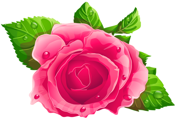 This png image - Pink Rose PNG Clipart, is available for free download