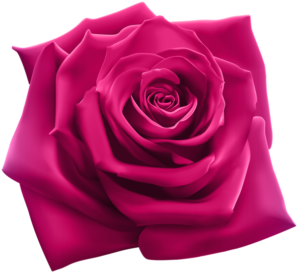 This png image - Pink Rose PNG Clipart Image, is available for free download