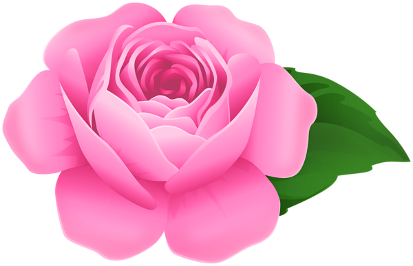Pink Rose PNG Decorative Clipart | Gallery Yopriceville - High-Quality ...