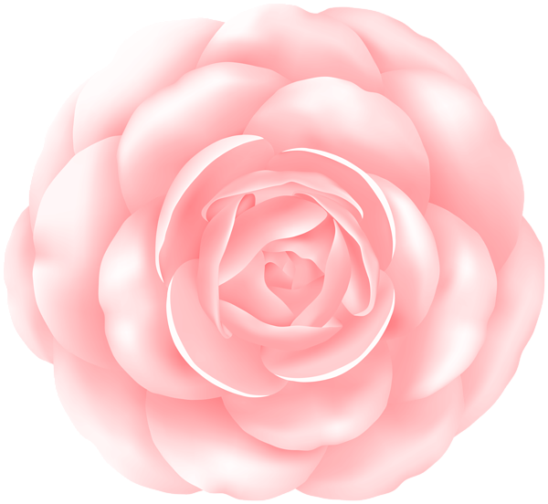 This png image - Pink Rose PNG Flower Clipart, is available for free download