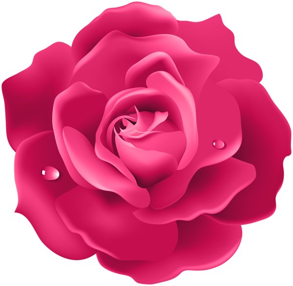 This png image - Pink Rose PNG Image, is available for free download