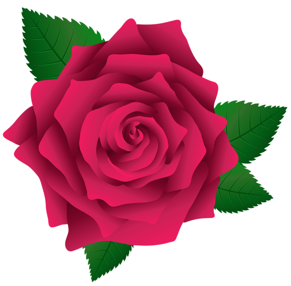 This png image - Pink Rose PNG Image Clipart, is available for free download