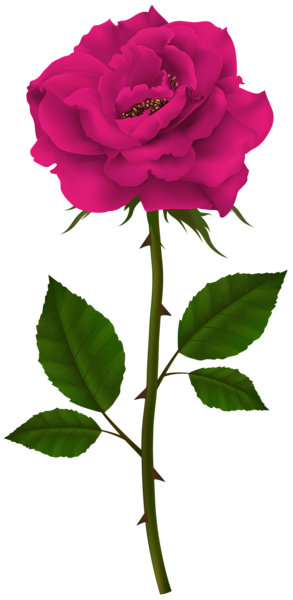 This png image - Pink Rose PNG Transparent Clipart, is available for free download