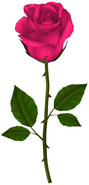 This png image - Pink Rose PNG Transparent Clipart, is available for free download