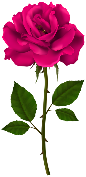 This png image - Pink Rose Stem PNG Transparent Clipart, is available for free download