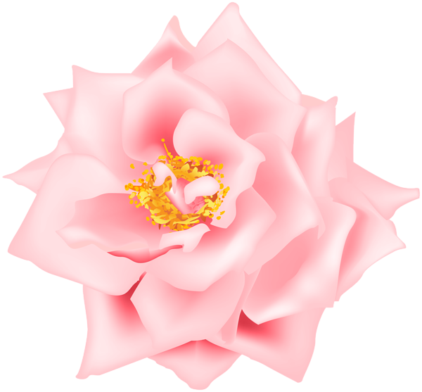 This png image - Pink Rose Transparent Clip Art, is available for free download