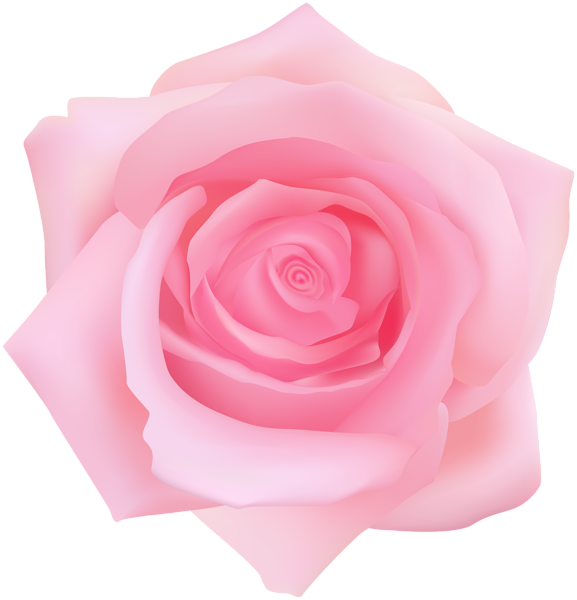 This png image - Pink Rose Transparent Clip Art, is available for free download