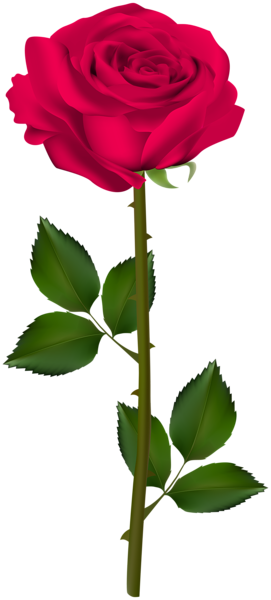 This png image - Pink Rose Transparent Clip Art Image, is available for free download
