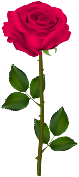 Pink Rose Transparent Clip Art Image | Gallery Yopriceville - High