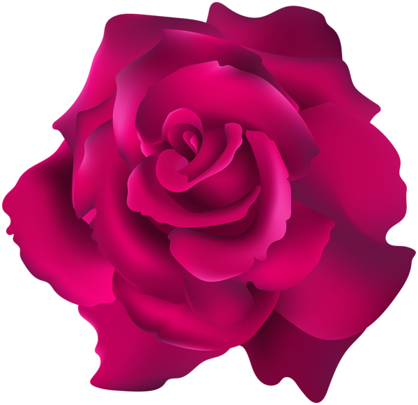 Pink Rose Transparent Clip Art PNG Image | Gallery ...