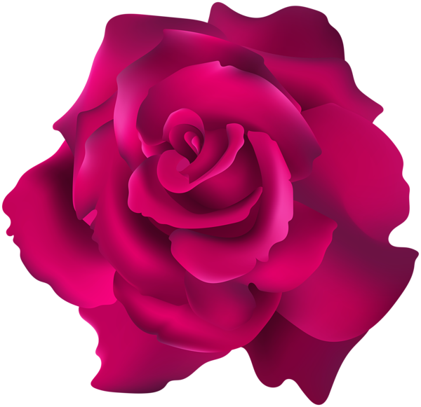 This png image - Pink Rose Transparent Clip Art PNG Image, is available for free download