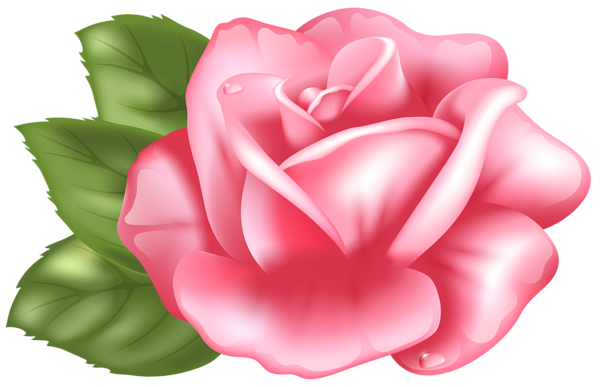This png image - Pink Rose Transparent PNG Clip Art Image, is available for free download