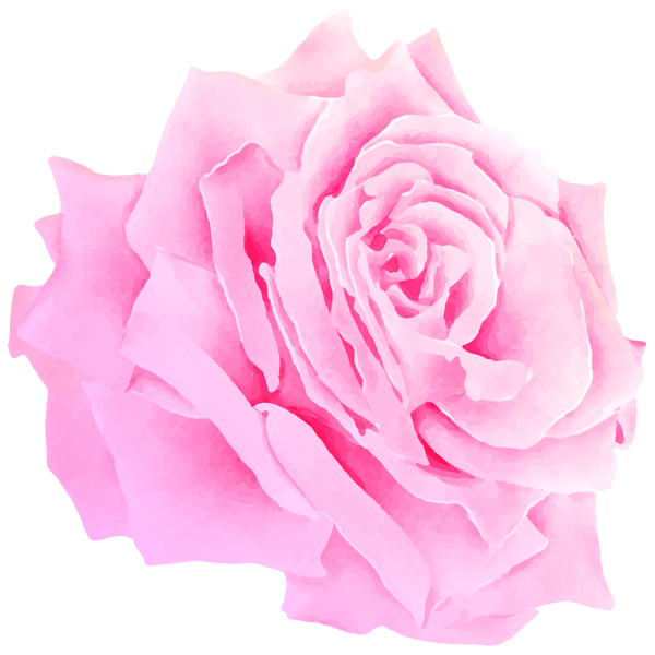 This png image - Pink Rose Watercolor PNG Clipart, is available for free download