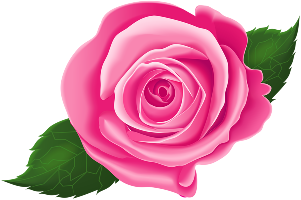 This png image - Pink Rose with Leaves PNG Clip Art Image, is available for free download