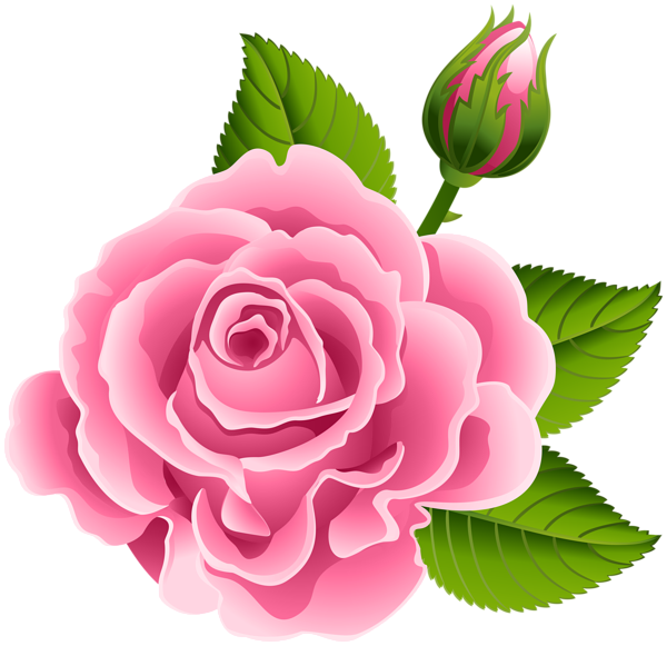 This png image - Pink Rose with Rose Bud PNG Clip Art Image, is available for free download