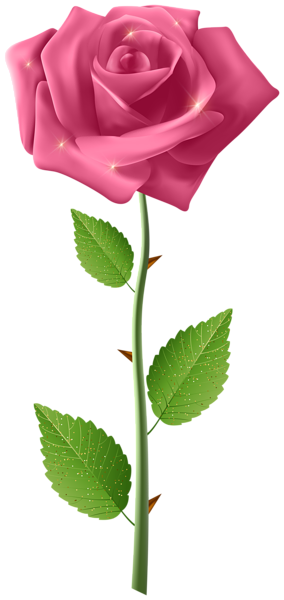 This png image - Pink Rose with Steam Transparent Image, is available for free download