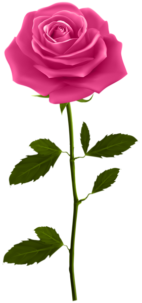 This png image - Pink Rose with Stem PNG Clip Art Image, is available for free download