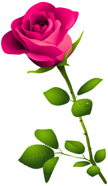 This png image - Pink Rose with Stem PNG Clipart Image, is available for free download