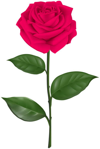 This png image - Pink Rose with Stem Transparent Clipart, is available for free download